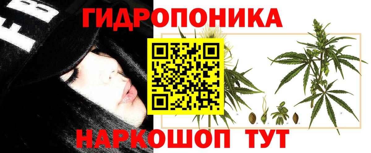 Шишки марихуана AK-47 Лабытнанги